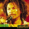 Garnet Silk Love You From A Distance (LP Version) 试听