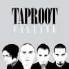 Calling (Online Music)