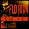 Flo Rida Wild Ones (feat. Sia) [Basto Remix] 试听