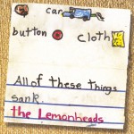 Car Button Cloth详情