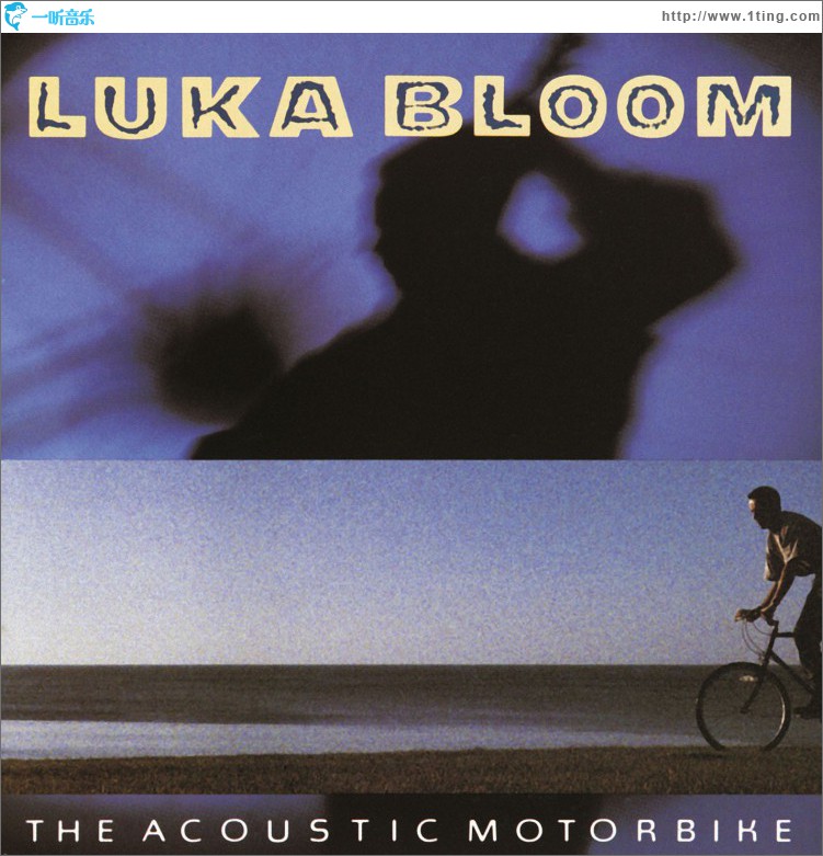 The Acoustic Motorbike