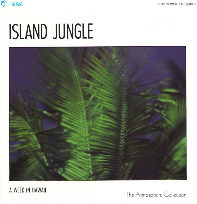 A Week In Hawaii: Island Jungle