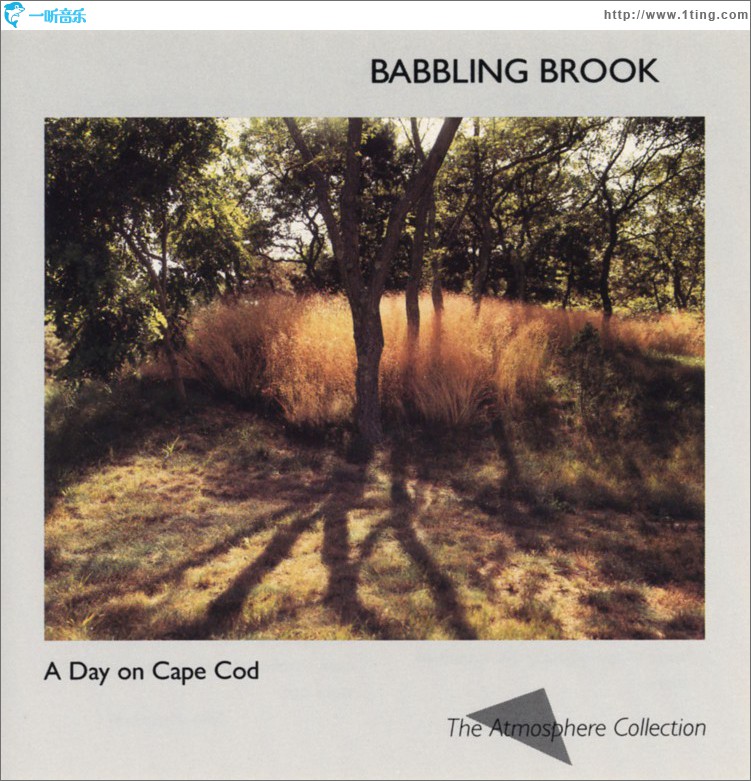 A Day On Cape Cod: Babbling Brook
