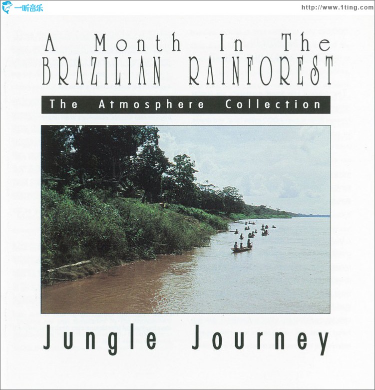 A Month In The Brazilian Rainforest: Jungle Journey