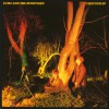 Echo And The Bunnymen Going Up (Album Version) 试听