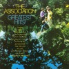 The Association We Love (Album Version) 试听