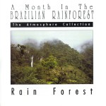 A Month In The Brazilian Rainforest: Rain Forest详情