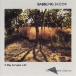 A Day On Cape Cod: Babbling Brook