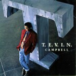 T.E.V.I.N.详情