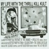 My Life With The Thrill Kill Kult Hit And Run Holiday (Album Version) 试听