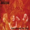 Deicide Lunatic Of God's Creation (Original Amon version) (Album Version) 试听