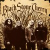 Black Stone Cherry Rain Wizard (Album Version) 试听