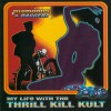 My Life With The Thrill Kill Kult Dream 101 (Album Version) 试听