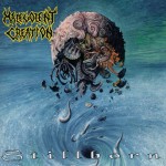 Stillborn详情