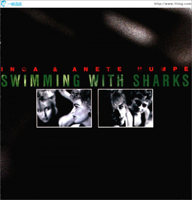 Swimming With Sharks