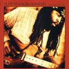 Alvin Youngblood Hart Fightin' Hard (Album Version) 试听