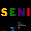 Seni Reprise 试听