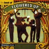 Flowered Up Take It (Album Version) 试听