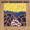 Alvin Youngblood Hart Tallacatcha (Album Version) 试听