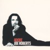 Joe Roberts Adore (Radio Version) 试听