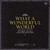 Booker T. Jones With Jolie Holland What A Wonderful World 试听