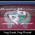 Sing Loud, Sing Proud详情