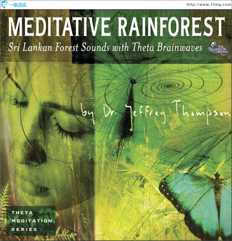 Meditative Rainforest