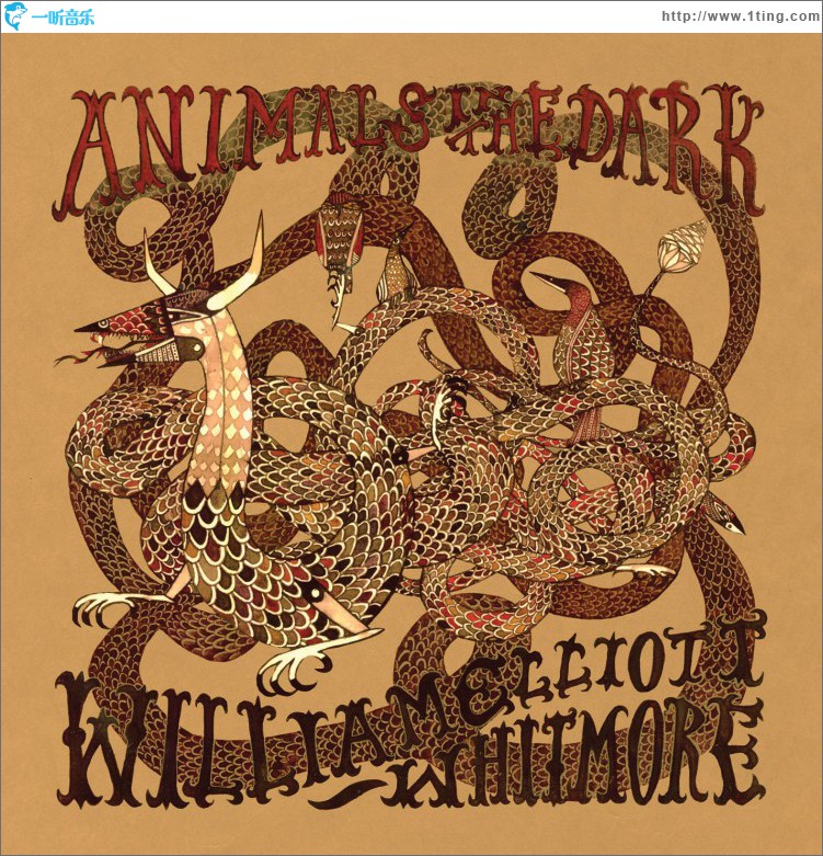 Animals In The Dark
