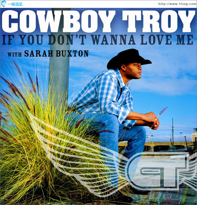 If You Don't Wanna Love Me (DMD Single)