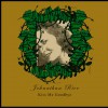 Johnathan Rice Kiss Me Goodbye (Remix) 试听