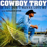 If You Don't Wanna Love Me (DMD Single)详情