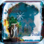 The Lights And Buzz (DMD Single)详情