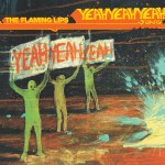The Yeah Yeah Yeah Song (Int'l 2-Track)