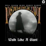 Walk Like A Giant详情