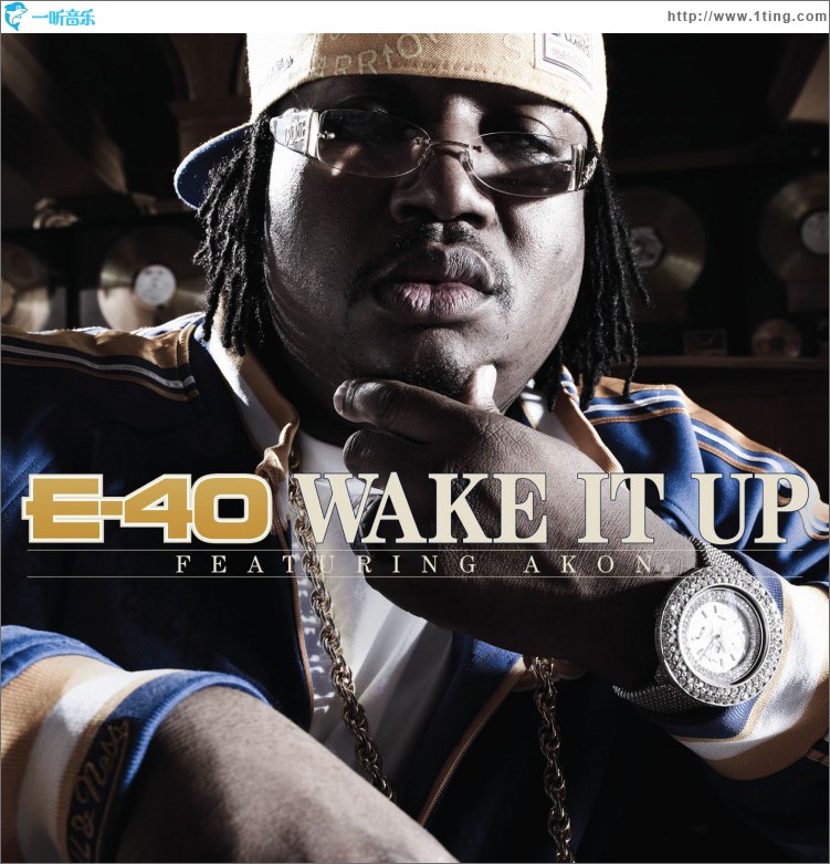 Wake It Up [feat. Akon] [Radio Edit] (DMD Single)