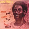 Lee Perry The Upsetter Soul Fire 试听