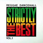 Strictly The Best Vol. 1详情