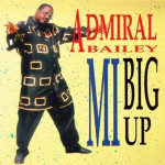 Mi Big Up详情
