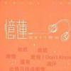 林忆莲 爱上一个不回家的人 试听