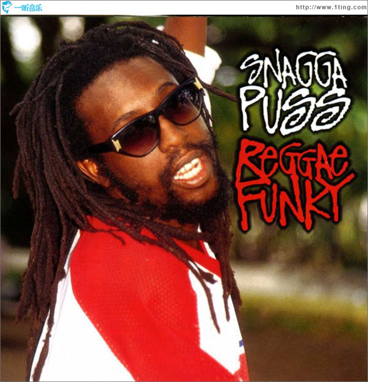 Reggae Funky