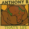 Anthony B. Good Life 试听