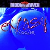 Various artists On The Radio 试听