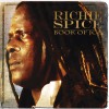 Richie Spice Better Tomorrow 试听
