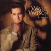 Wayne Watson Almighty (LP Version) 试听