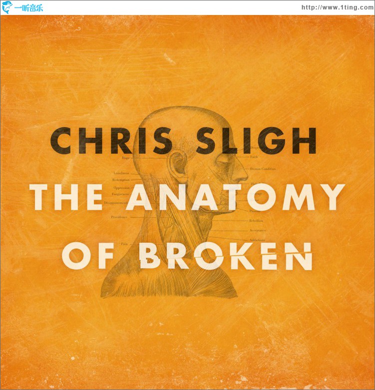 The Anatomy Of Broken
