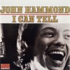 John Hammond I Wish You Would (LP Version) 试听