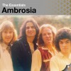 Ambrosia Nice, Nice, Very Nice (Single Version) 试听