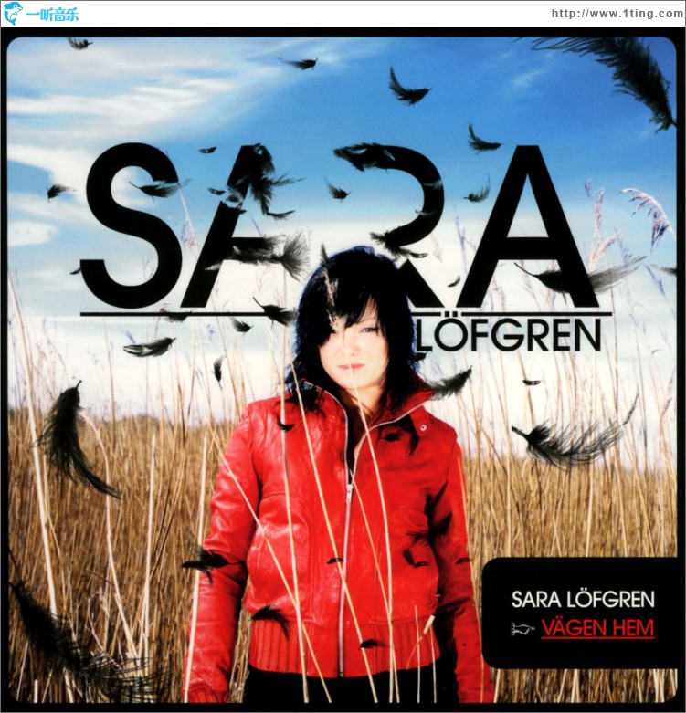 Vägen hem