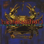 El Moodio详情