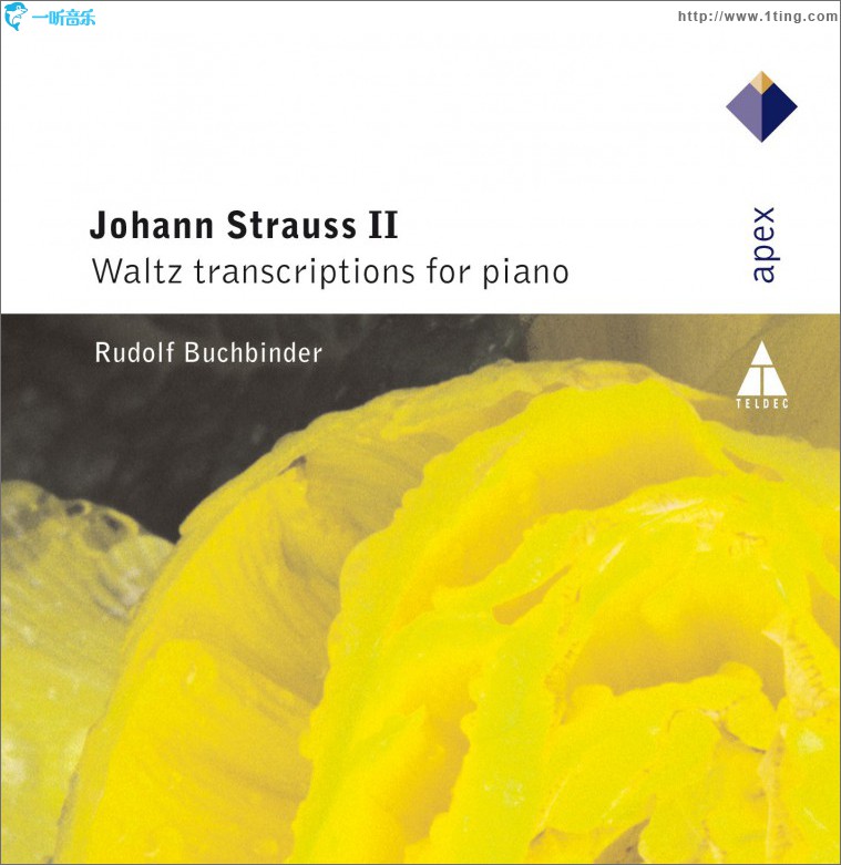 Strauss, Johann II : Waltz Transcriptions for Piano